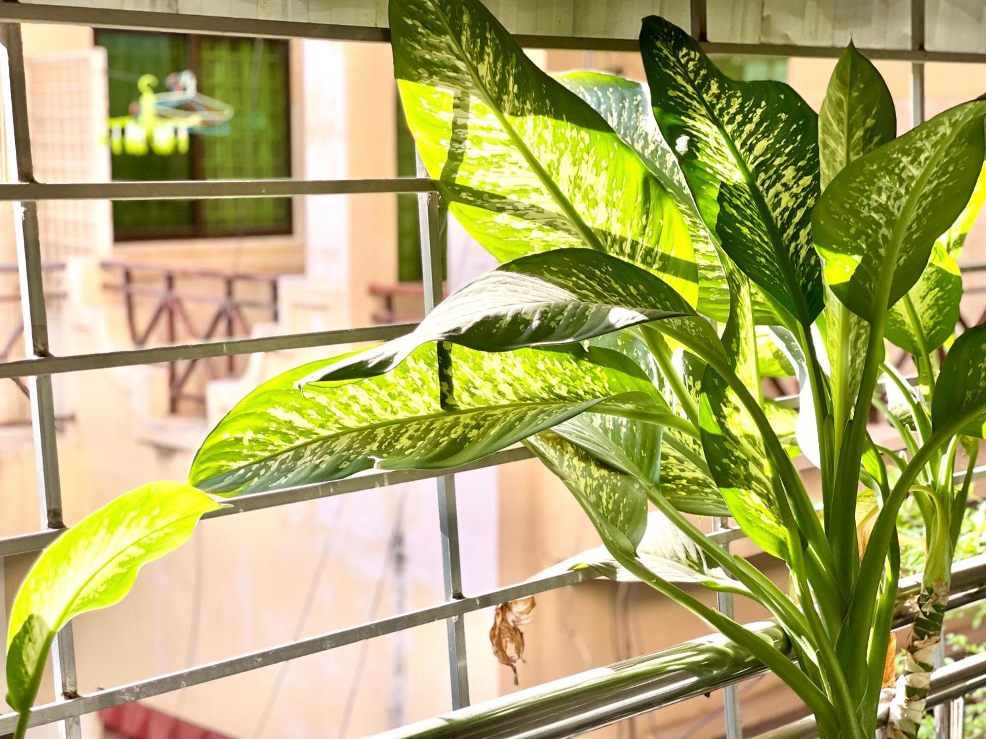 Sky Hotel Central Phnom Penh - Rooms & Apartments Luaran gambar